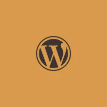 Wordpress tool used by Best Digital Marketing Analyst In Qatar